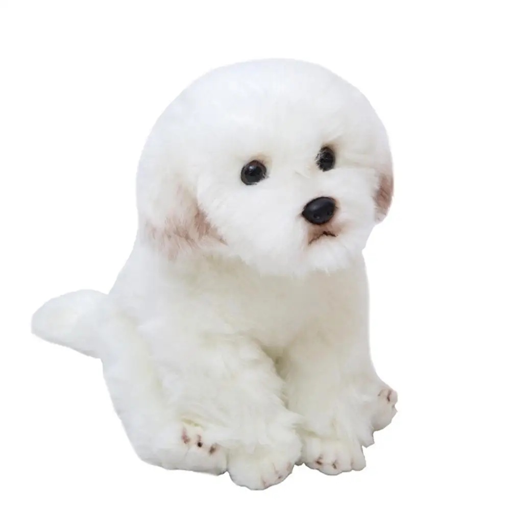 

Имитация мальтийской собаки 24*16 см, плюшевая игрушка, высокое качество, Мягкая Реалистичная Фриза, животное, собака, пушистая собака, подарки для детей L1n8