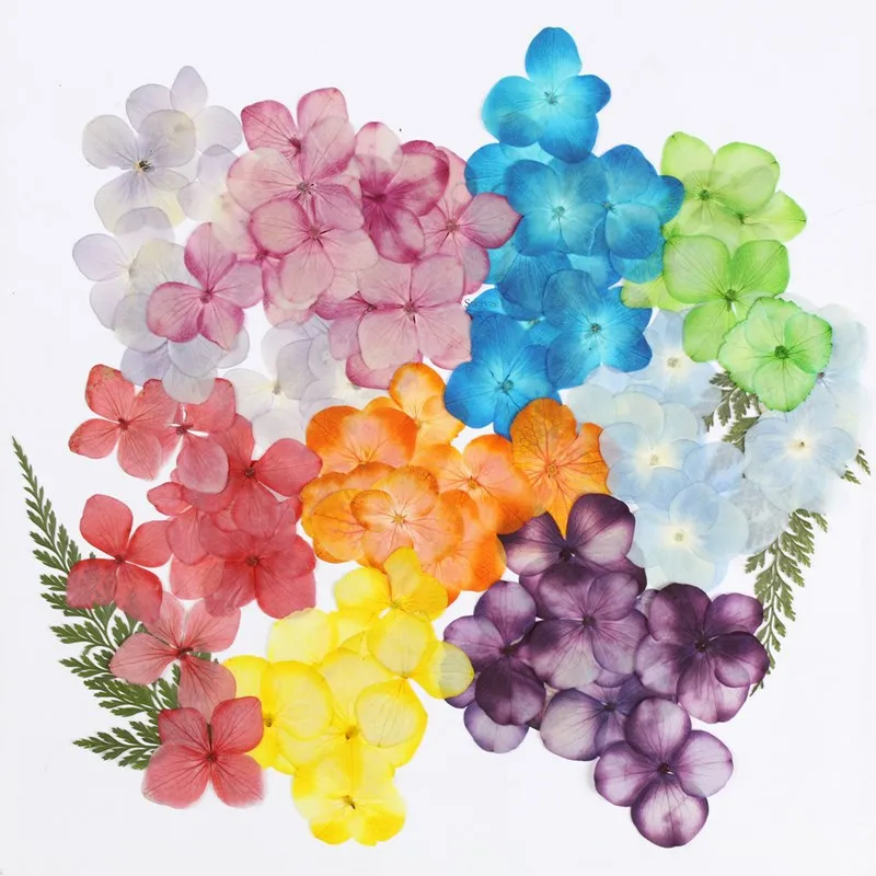 12 Pcs Hydrangea Pressed Dried Flowers for Epoxy Resin Craft DIY Accessories