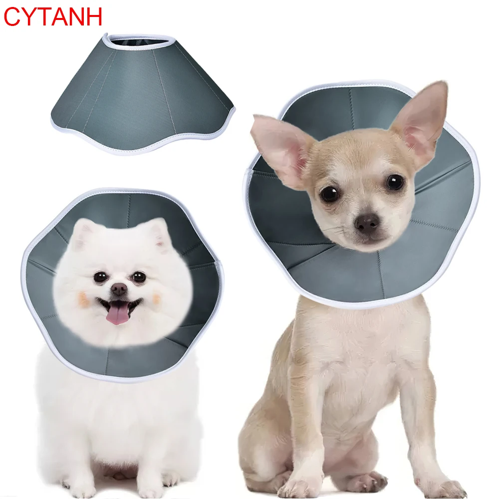 

Pet Anti-bite Collar Cat Wound Healing Cone Cover Neck Protection Elizabethan Circle for Kitten Puppy Dog Post-operative Care
