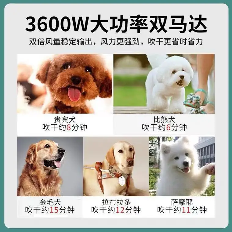 Двухмоторный воздуходувка для домашних животных высокомощный фен выдувания