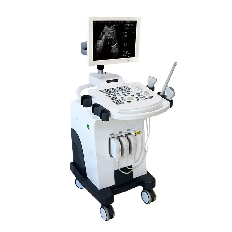 

SY-A073 Professional B&W 15 inch trolley ultrasound machine