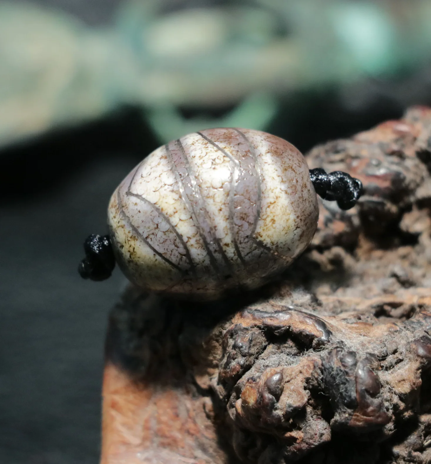 

Уникальное ультратибетское старое серебро с агатом, инкрустированное двойным тигровым зубом, большое Daluo бусины дзи, ювелирные изделия LK Timestown UPD22