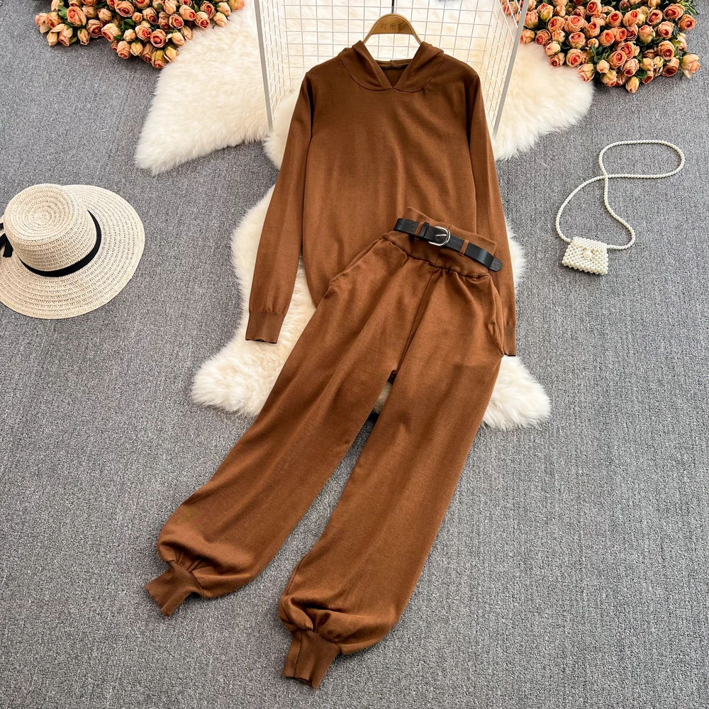 

Hoodies Suit Female Spring New Solid Casual Tracksuit Women 2 Piece Set Sports Sweatshirts Pullover Sweatpants Outfits With Belt