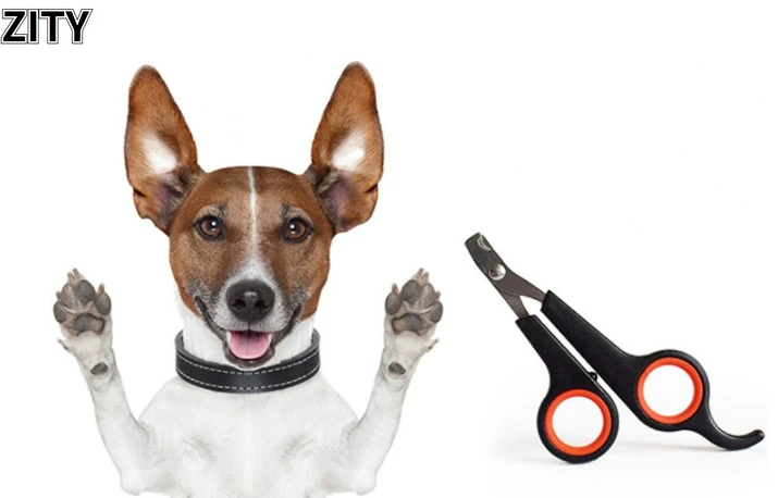 

Pet Nail Claw Grooming Scissors Clippers For Dog Cat Bird Toys Gerbil Rabbit Ferret Small Animals Newest Pet Grooming Supplies
