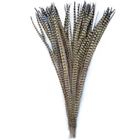 50pcs long pheasant feathers for decoration plumes decor 60 95cm splicing craft carnaval assesoires natural feather on the head