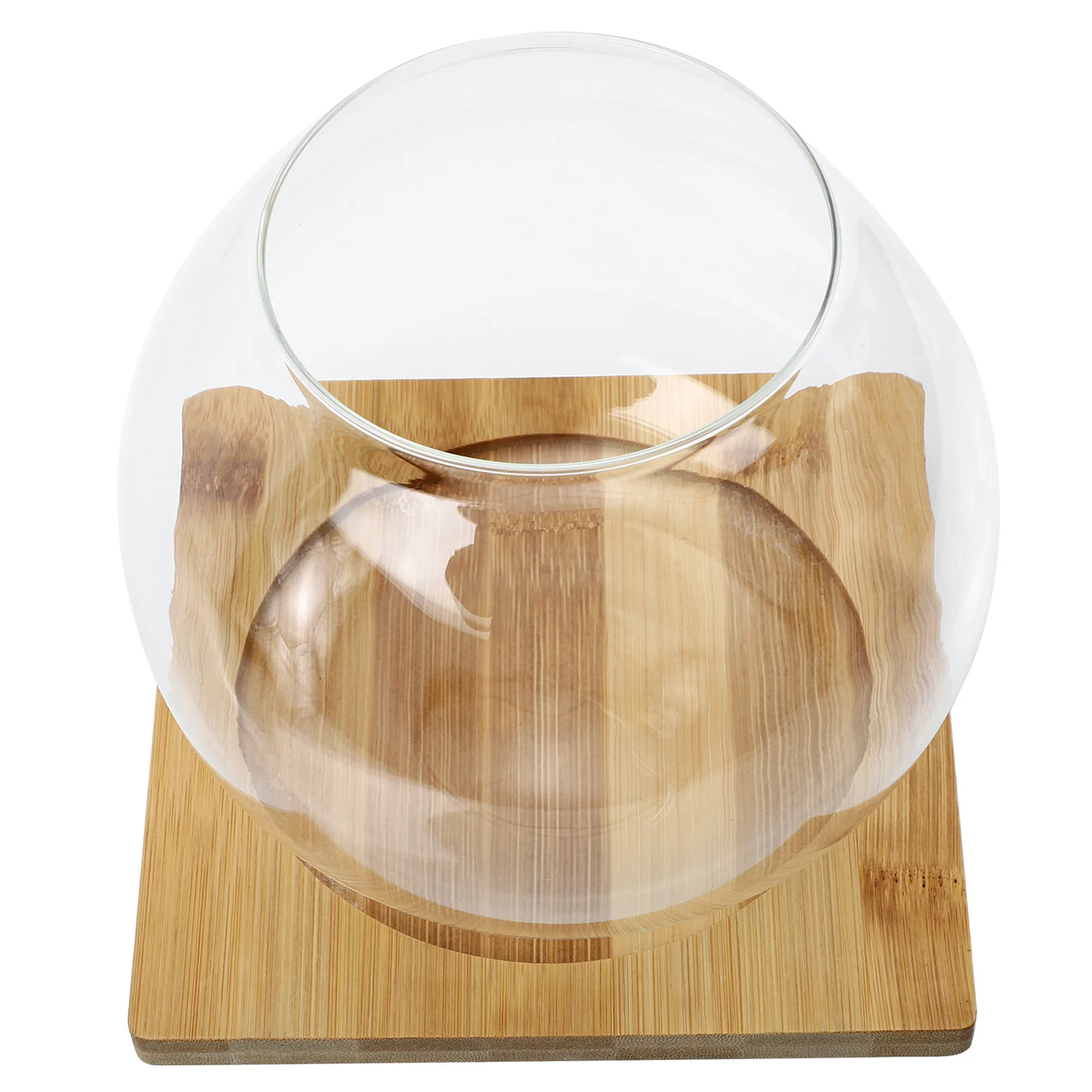 

1 Set Glass Micro Landscape Bottle Multi-functional Household Small Fish Bowl