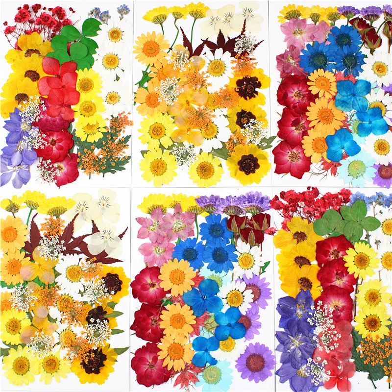 

One Bag Dried Flowers for DIY Aromatherapy Candle Making Epoxy Resin Mold Jewelry Accessories Wedding Bouquet Home Decoration