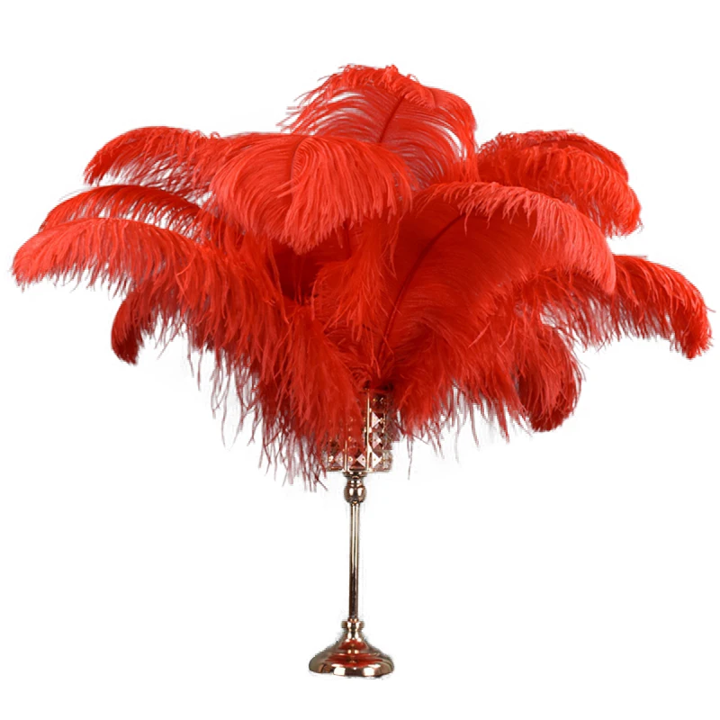 

Red Ostrich Feathers for Decoration 15-70cm Big Ostrich Feather Craft Items DIY Holiday Wedding Accessories Fly Tying Materials