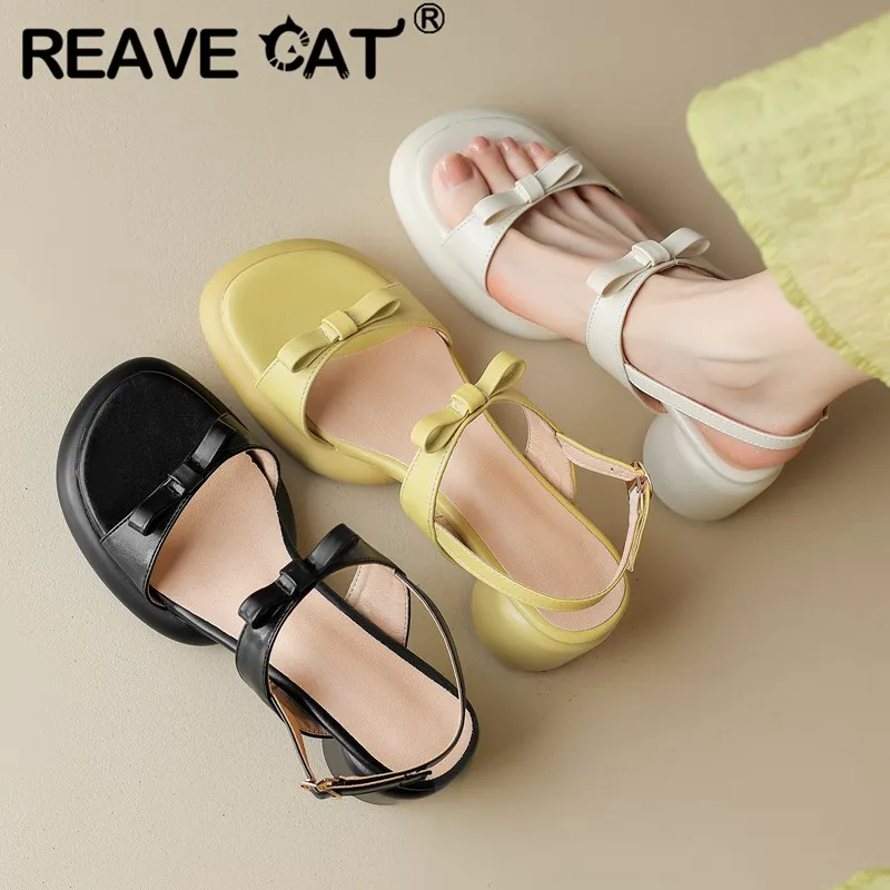 

Женские сандалии с круглым носком REAVE CAT, мягкие женские босоножки на массивном каблуке 6 см, обувь для свиданий больших размеров 41 42 43