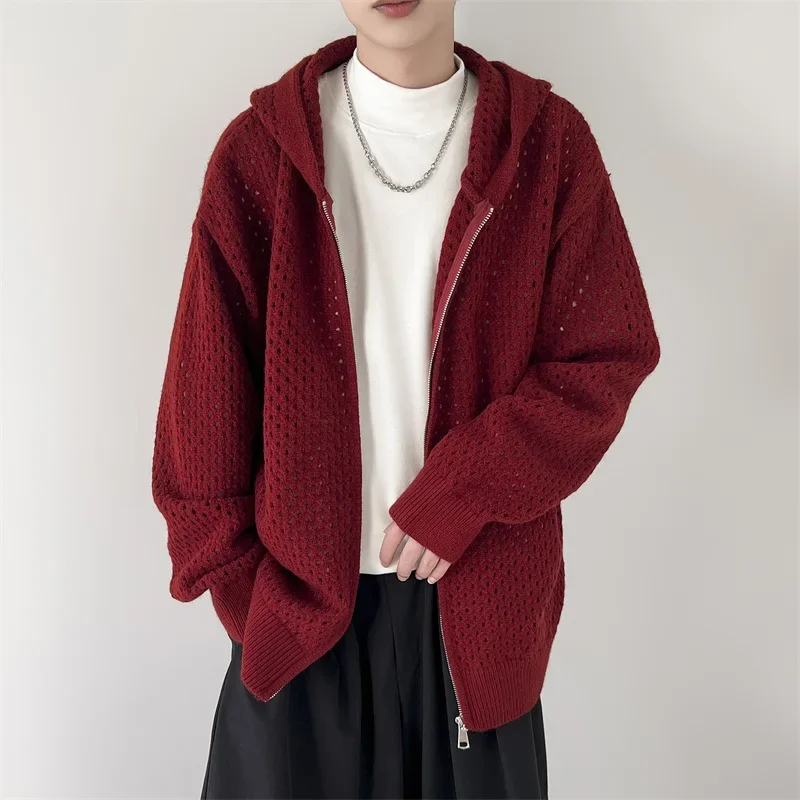 Hooded Knitted Cardigan Men's Spring Autumn Loose-Fit Casual Clean-Fit Design Sensibility Outerwear Woolen Garment
