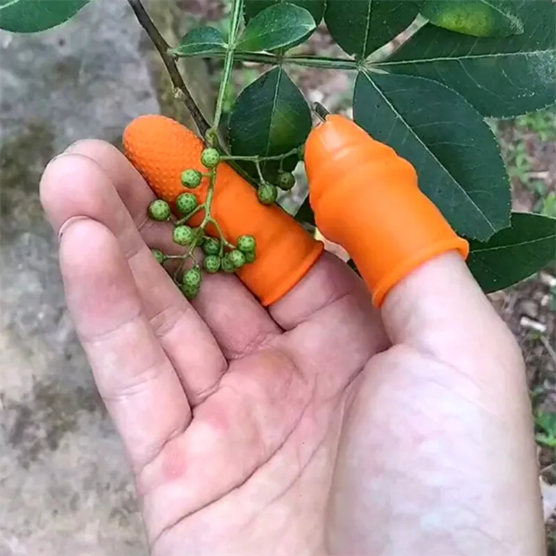 

Farm Vegetable Fruit Picker Pickle Pepper Pickle Tip Picker Iron Nail Pick Grape Picker For Garden Vegetable Patch Tool