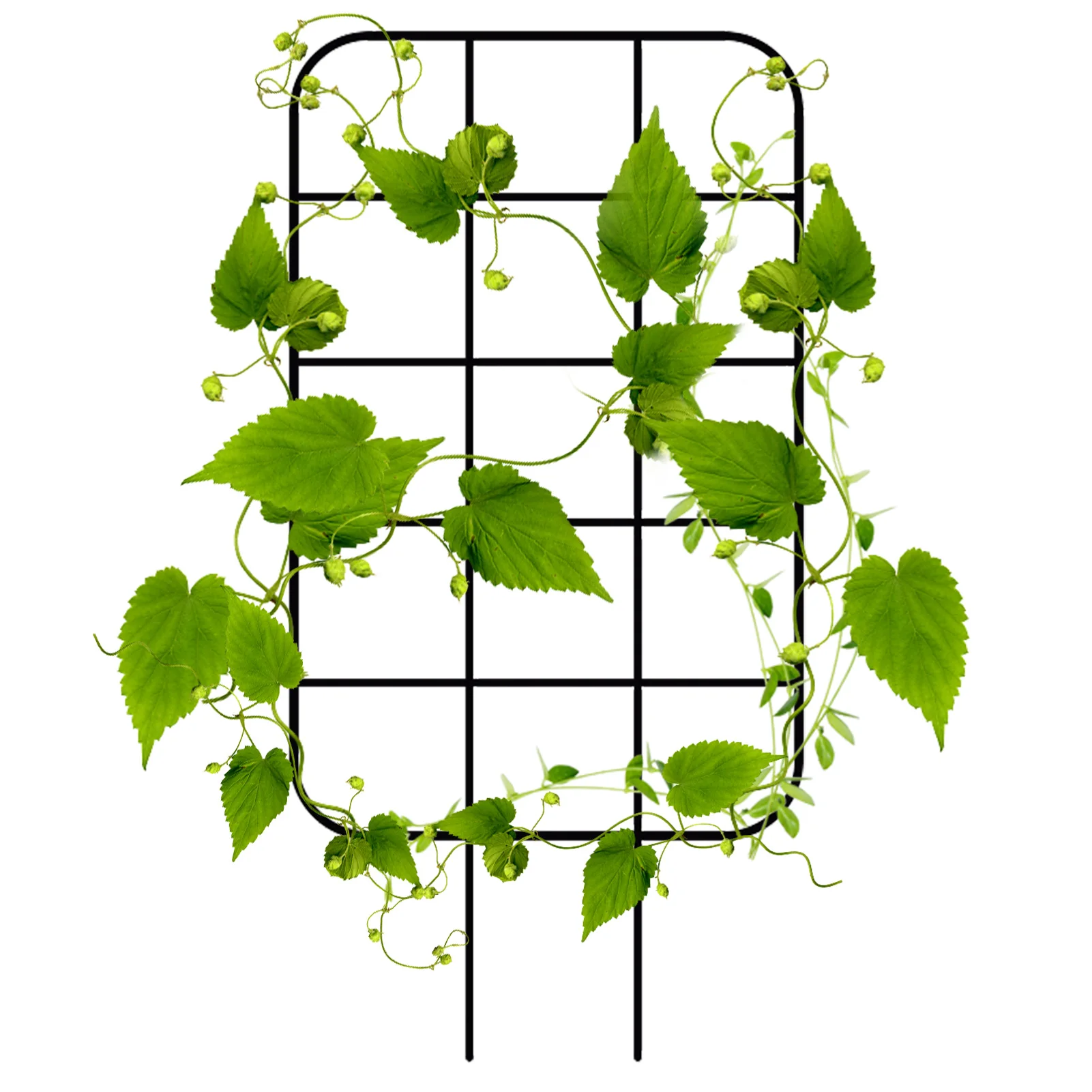 

Garden Trellis For Climbing Plants Outdoor Metal Trellis Plant Support For Potted Plants Black Rustproof Metal Plants Trellis