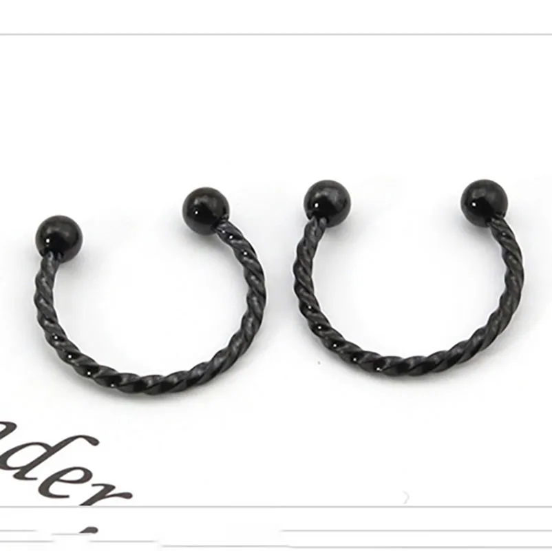 

2PCS Stainless Steel Nose Rings Eyebrow Nose Rings Fake Nose Ring Hoop Septum Rings U Clip Lip Ring Unisex Punk Stud Horseshoe