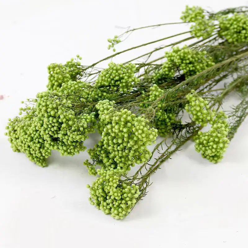 

50g Natural Millet Fruit Dried Flower Home Decor Items With Natural Bried Flowers Decoration Gift For Girlfriend Bridal Wedding