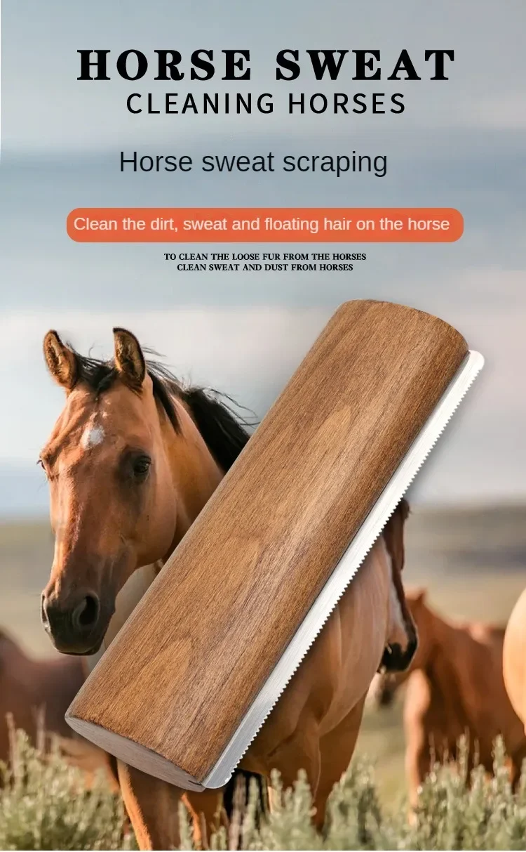 Рисунок 5 - Скребок для чистки конского лошади