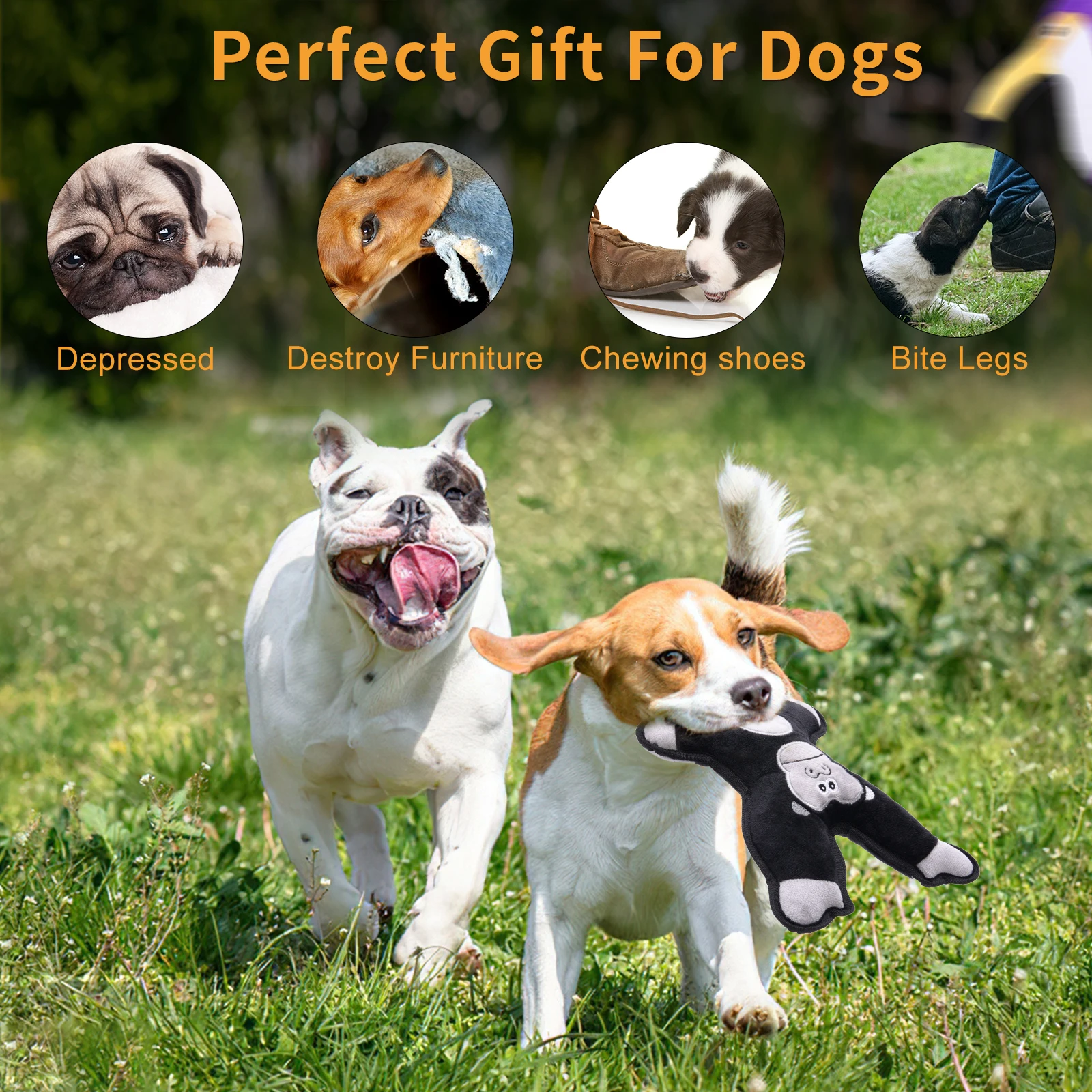 Jungle Set 3 Pack Squeaky Dog Toys Assortment Value Bundle Chew with Squeaker Durable Tough Plush Toy |