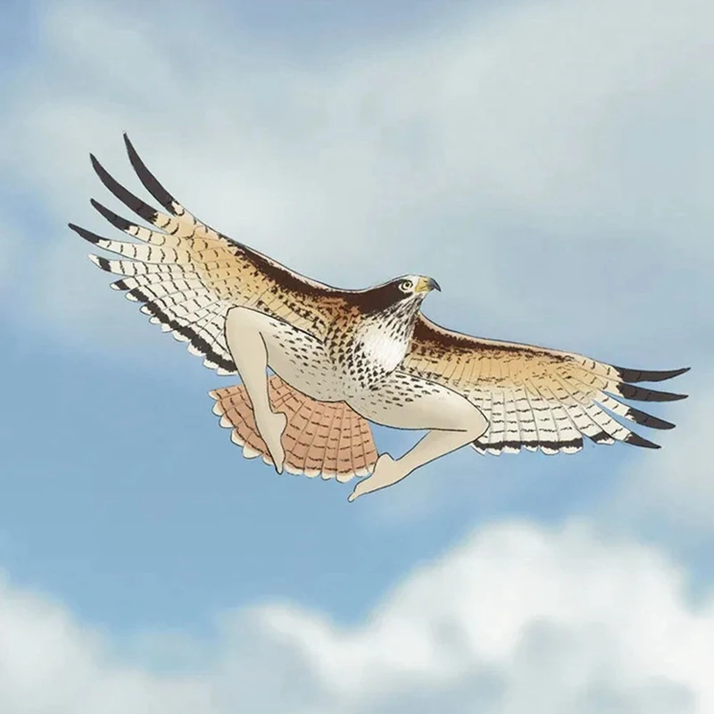 Календарь на 2024 год чрезвычайно точные птицы календарь настенный украшение