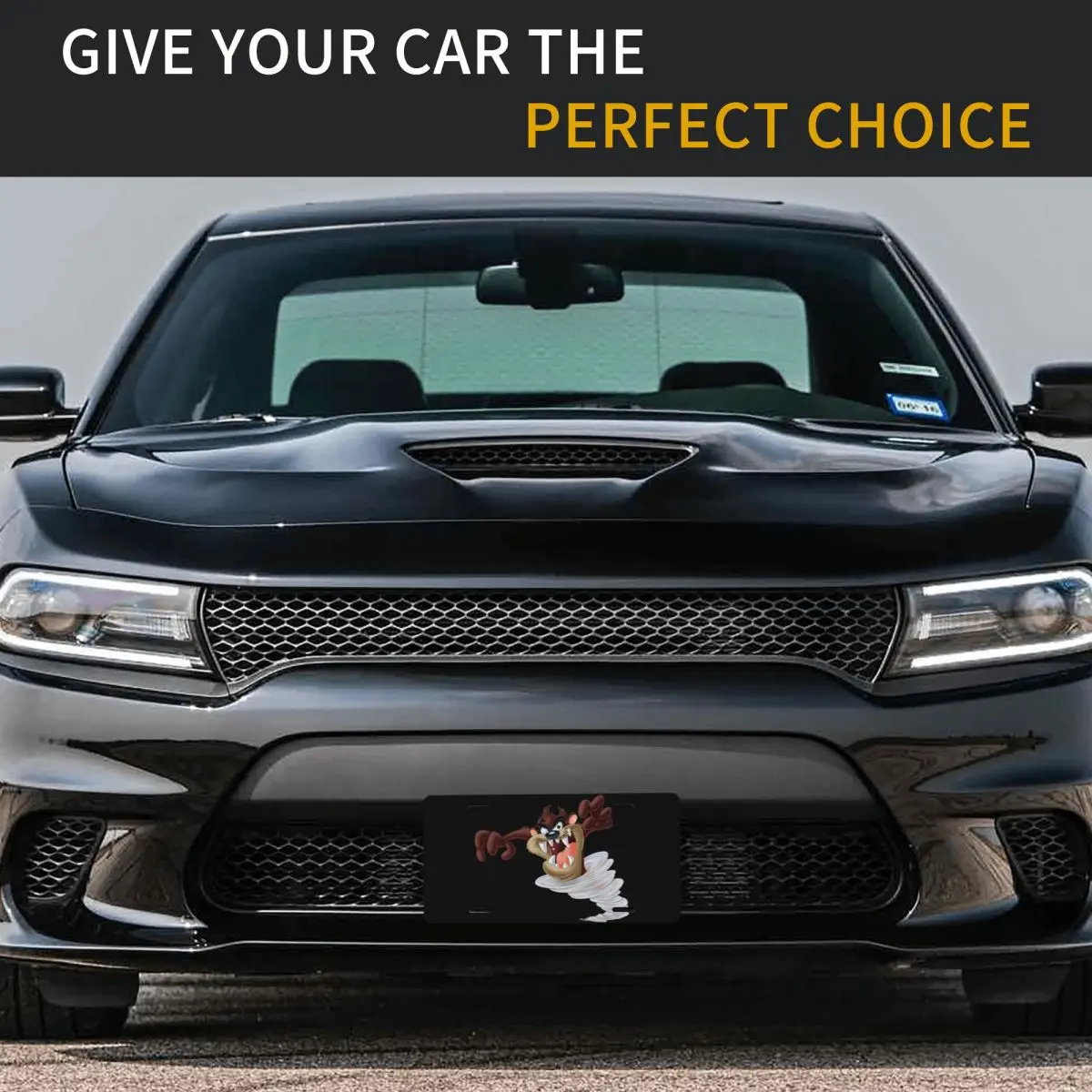 Пользовательский ТАСМАНИЙСКИЙ ДЬЯВОЛ номерной знак Cool Taz мультяшный