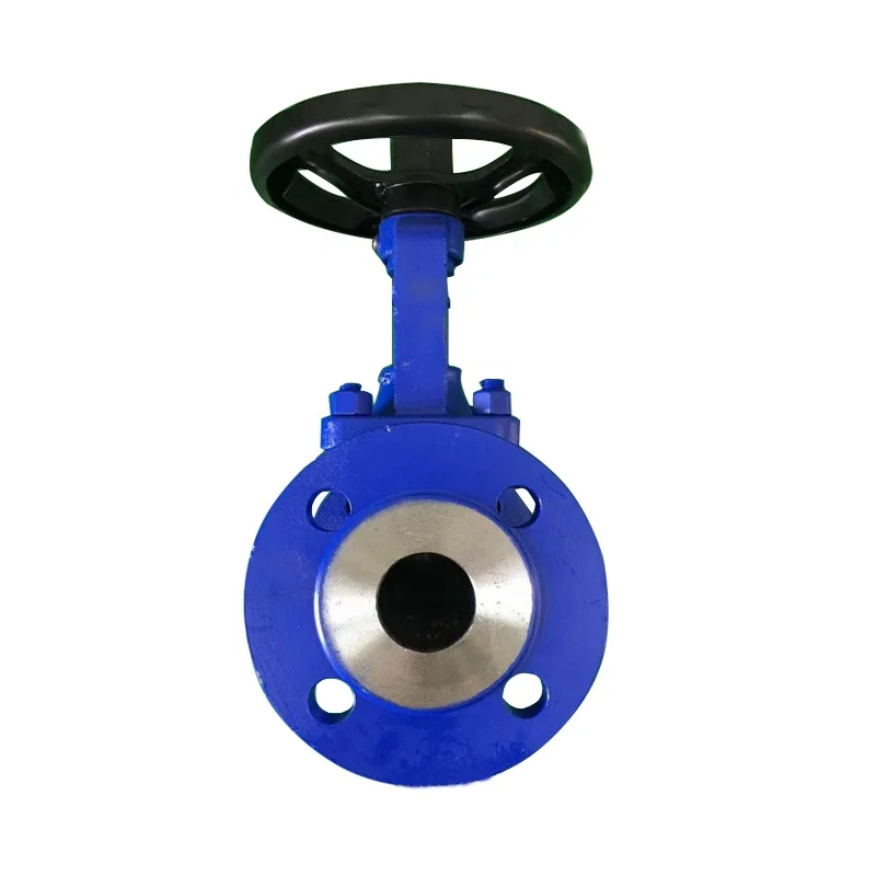 Заводская поставка DN15-DN500 из литой стали Сильфонный уплотнительный клапан