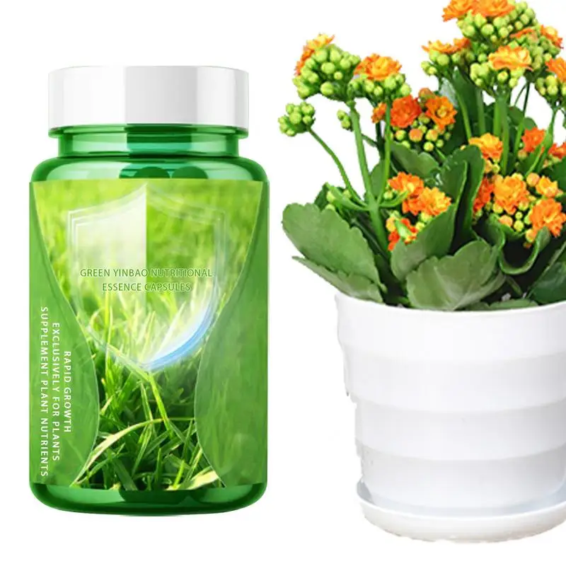 

Plant Rooting Solution Hydroponic Plant Rapid Rooting Agent Liquid Fertilizer Cutting Stimulator Soil Enhancer For House Plants