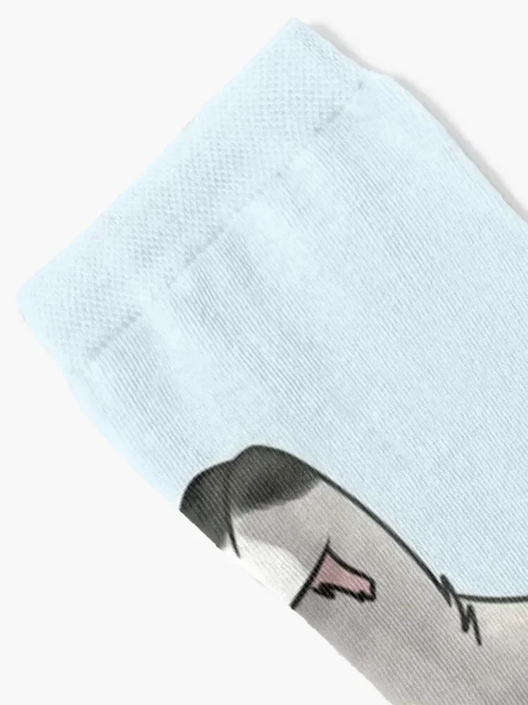 Blue Merle Sheltie | Носки 2020 МОДНЫЕ противоскользящие футбольные термомужские зимние