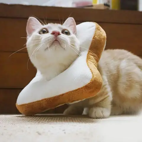 Мягкий милый ошейник для домашних животных собака кошка щенок мультяшный Тост Хлеб Форма шарф головной убор реквизит