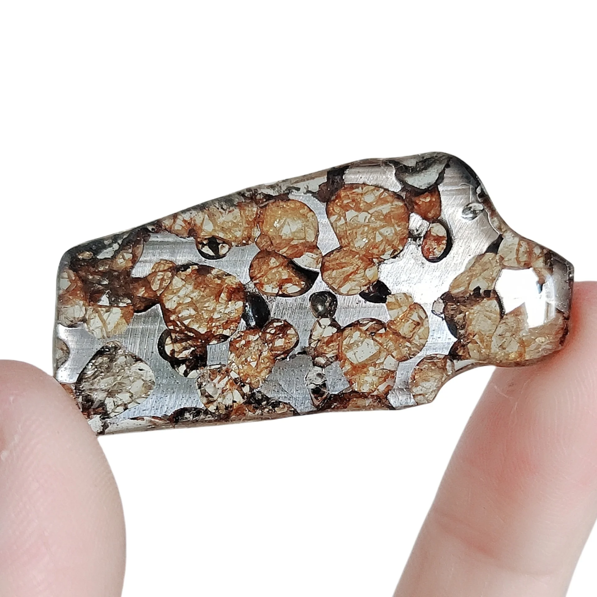 5 1 г Seymchan Pallasite ломтики оливкового метеорита образец натурального нарезанная