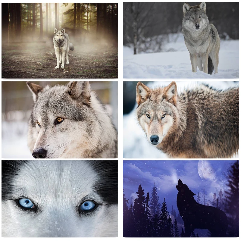 

OLOEY DIY 5D Diamond Painted Animal Cross Stitch Kit Full Wolf Diamond Mosaic Rhinestone Home Decor Gift