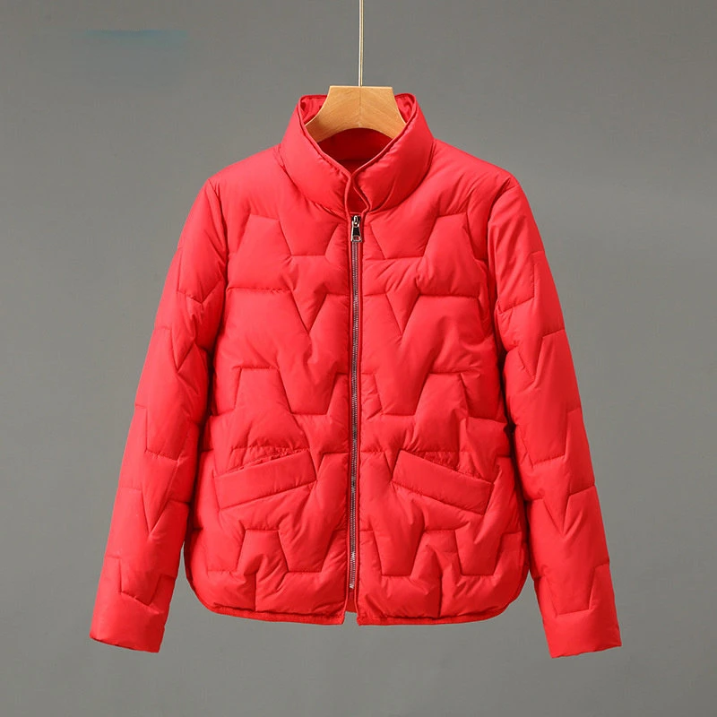 Рисунок 2 - Новая зимняя куртка с воротником-стойкой для женщин