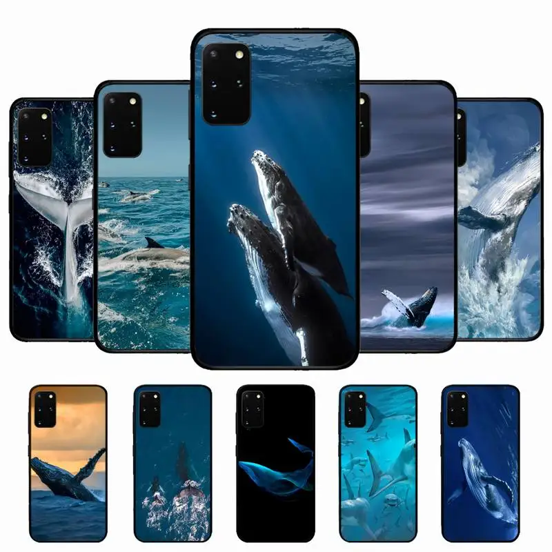 

Ocean Whale Shark Swimming Phone Case for Samsung S10 21 20 9 8 plus lite S20 UlTRA 7edge
