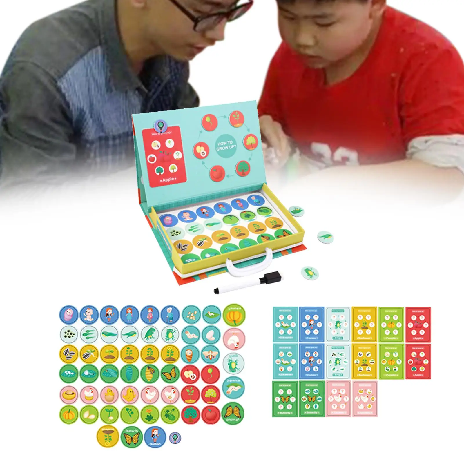 

Double Sided Magnetic Board Puzzle Box Toy Easy Carry Box Life Growth Cycle Theme for Preschool Early Learning Age 3+ Boys Girls