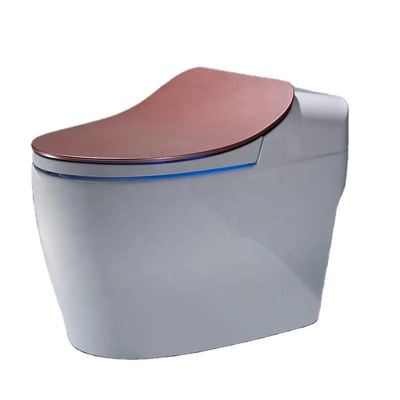 

Seat Heating Water Temperature Adjustable Ceramic Intelligent Toilet One Piece Bidet Smart Toilet
