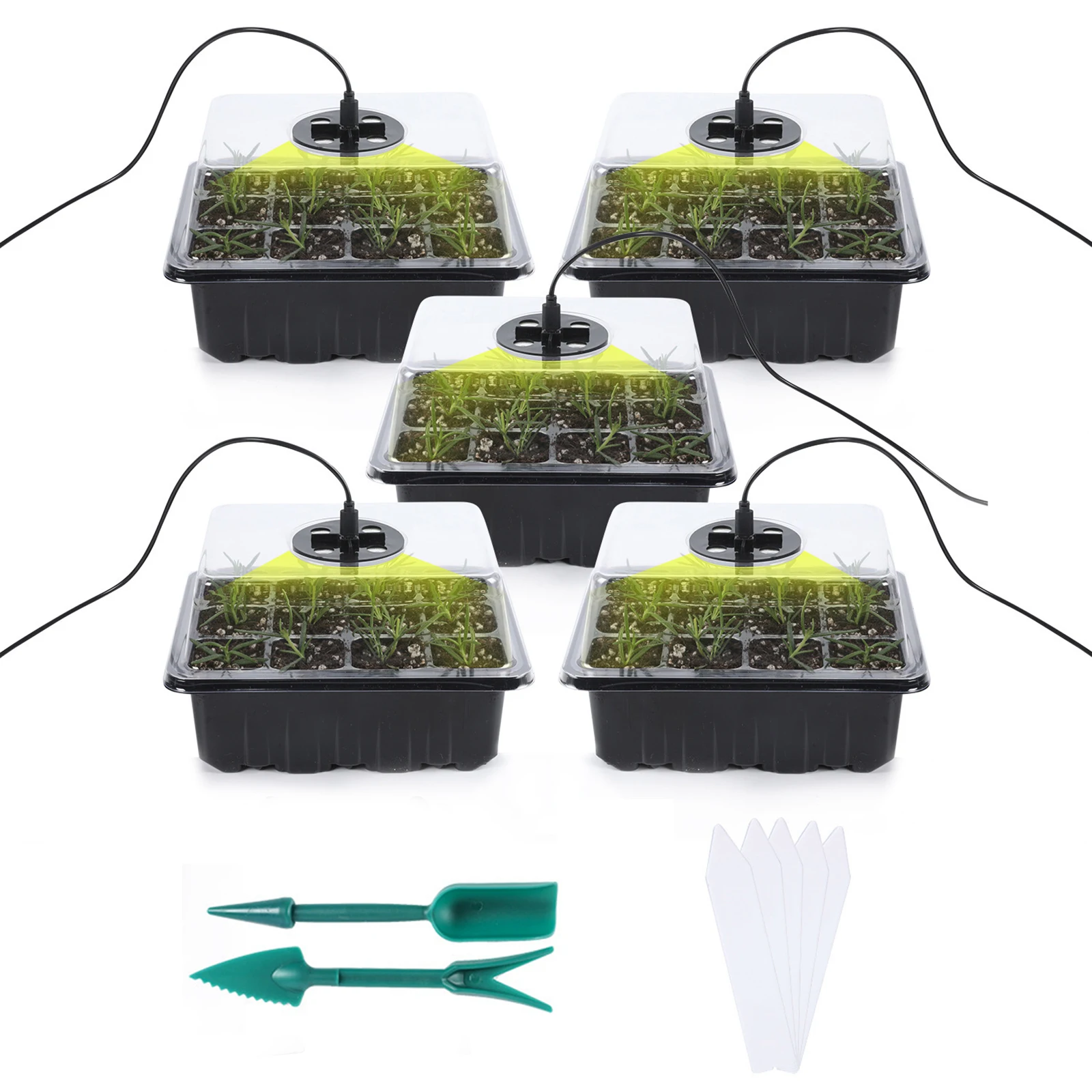 

6/12 Cells Seed Starter Kit Plant Seeds Grow Box CSeedling Trays Germination Box With Dome And Base For Seeds Growing Starting