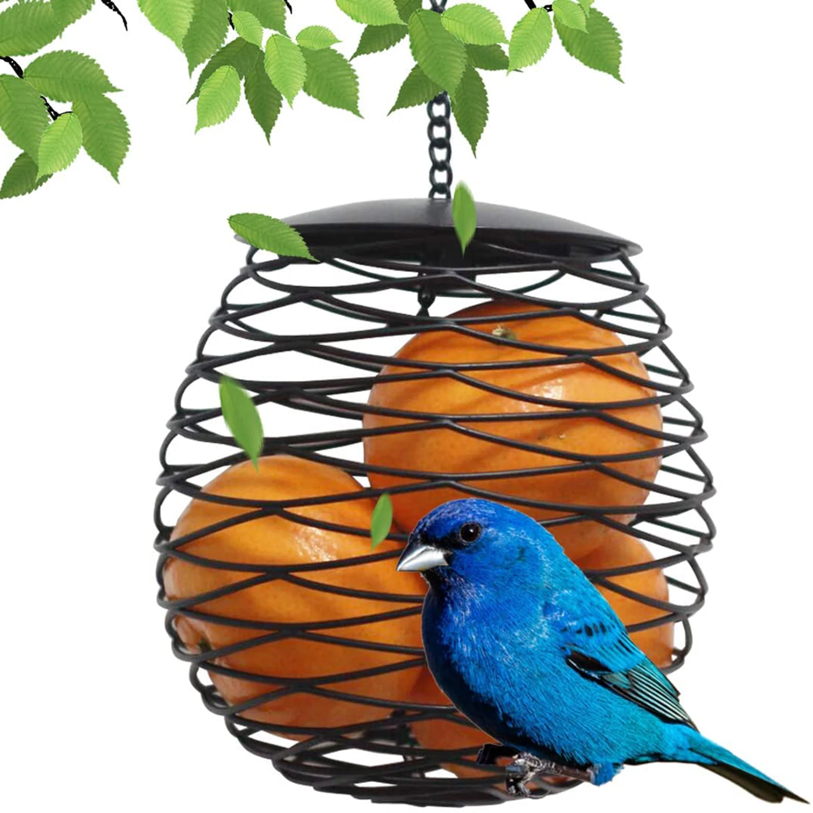 

Squirrel Proof Bird Feeder Suet Bird Feed Dispenser Ball Shaped Bird Feeders For Outside Wild Birds Exquisite Garden Decor