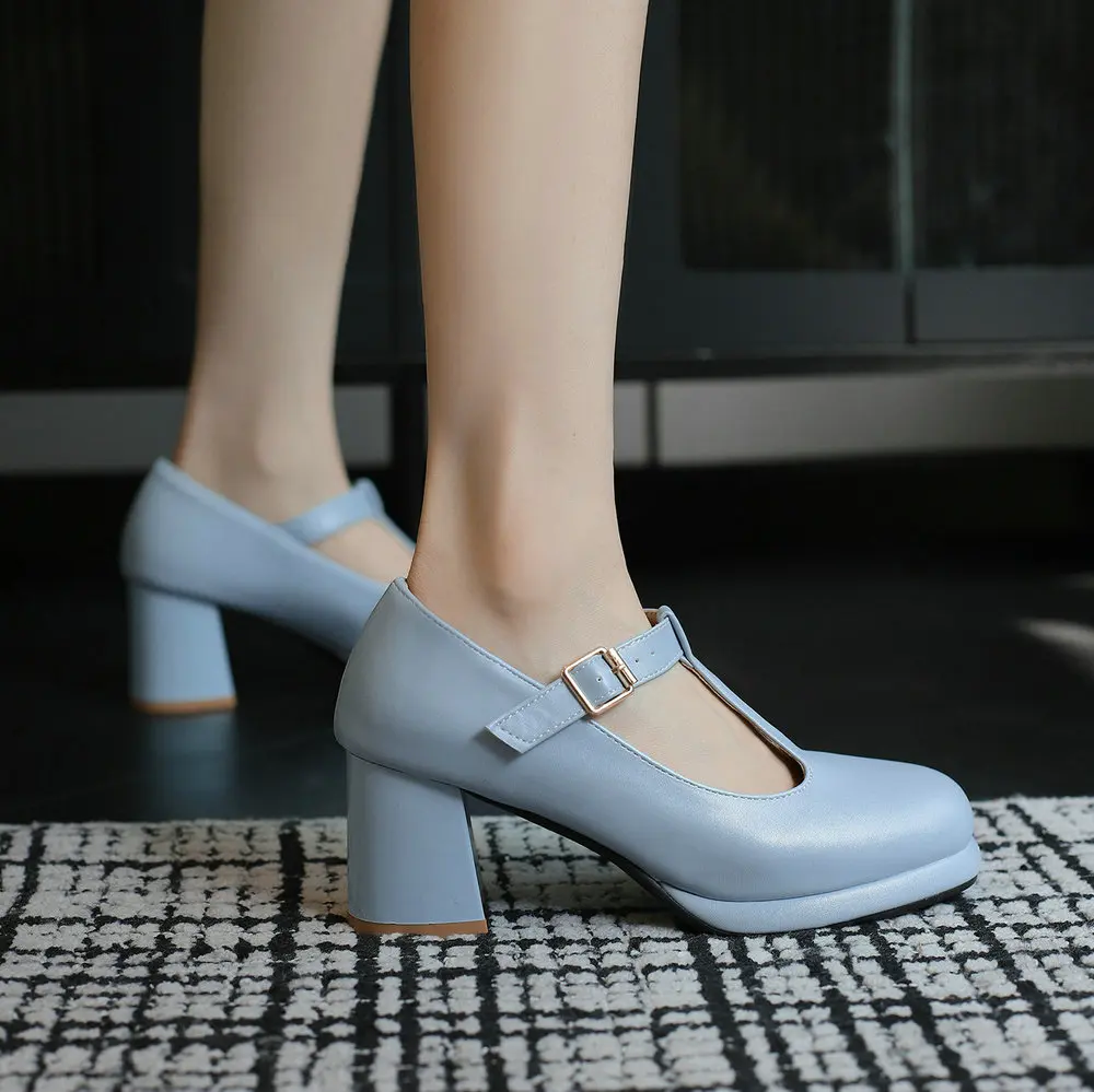Women Classic Lolita Platform Mary Jane Shoes with T-Strap and Chunky High Heels New Female Casual Pumps for Vintage Fashion