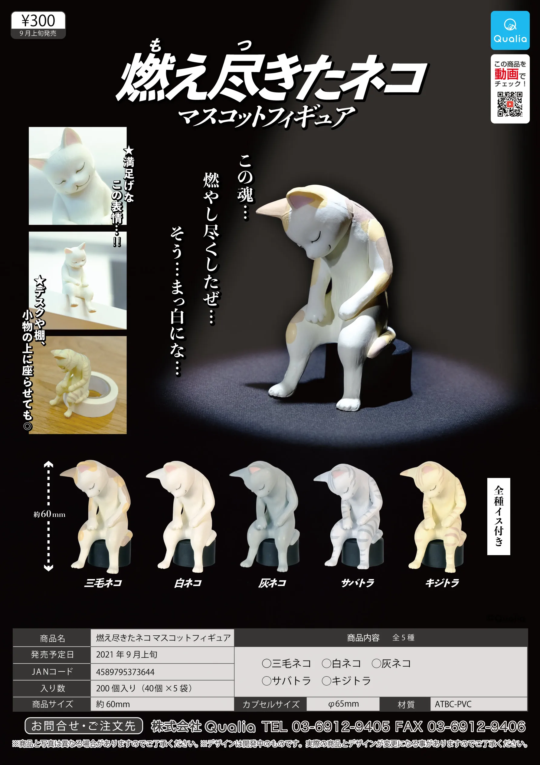 

QUALIA Original Gashapon Burnout Cat Calico Cat Kawaii Gachapon Capsule Toy Doll Model Gift Figures Collect Ornament