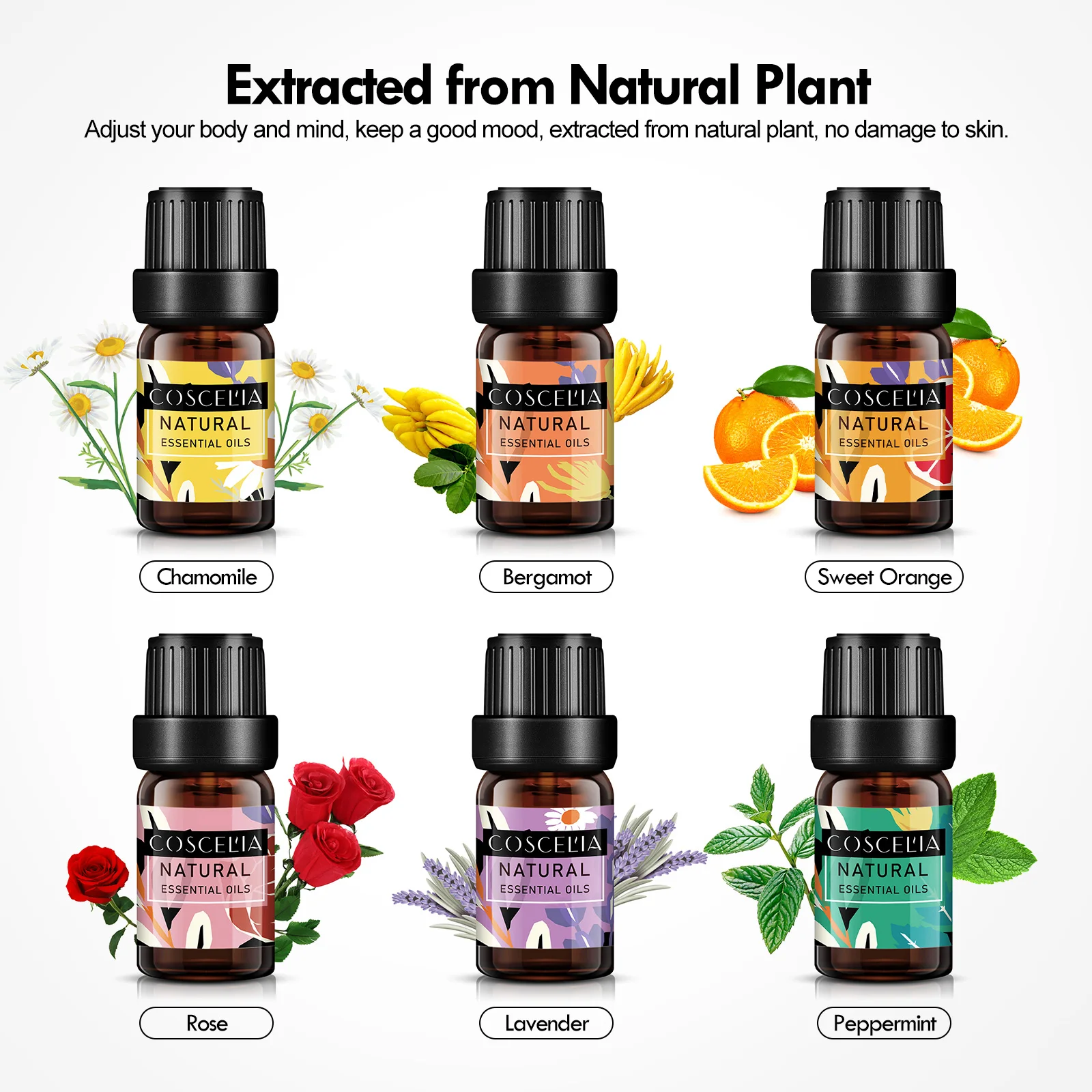 

COSCELIA 5ml Pure Natural Essential Oils for Aromatherapy Scent Skin Care Air Purifiers Bergamot Sandalwood Spa Massage Oil