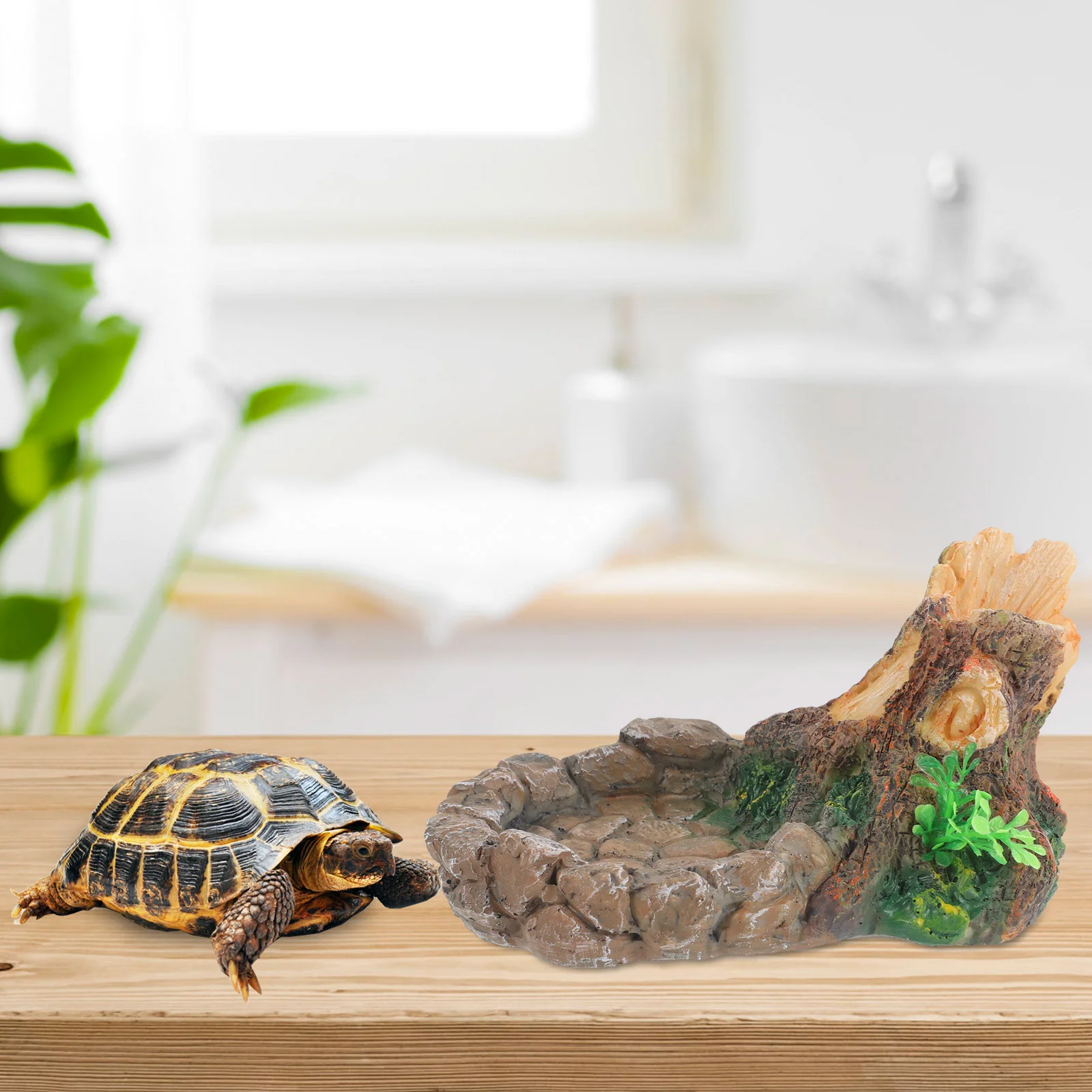 

Lizard Bowl Reptiles Feeder Resin Food Animal Bearded Dragon Accessories Vivarium Snake Water Dish Basin Pet
