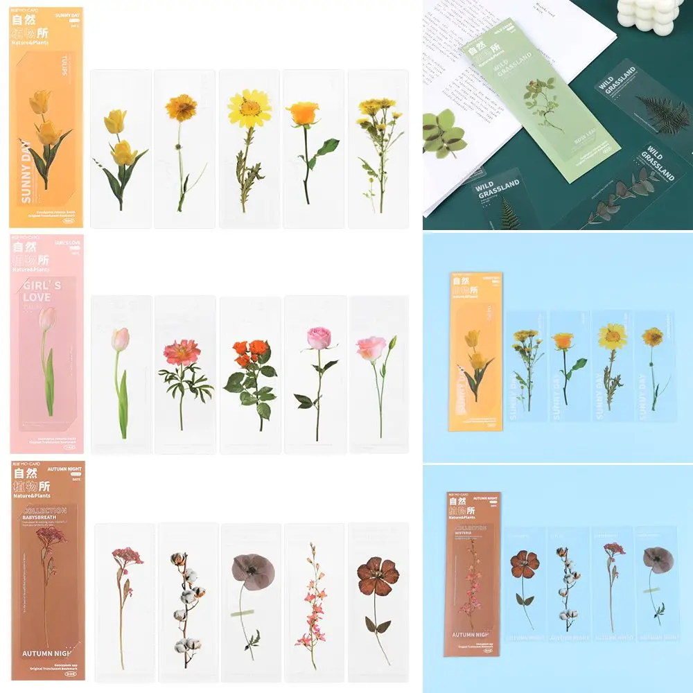 

Page Holder Reading Mark Book Note Marker Bookmarks Card Translucent Flower Nature Plants Bookmarks Specimen Bookmarks