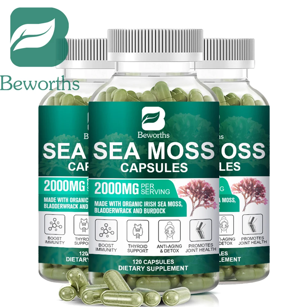 

BEWORTHS 120PC Organic Sea Moss Pill Plus Bladder & Burdock Root for Intestinal Health & Immune Support & Thyroid Supplements