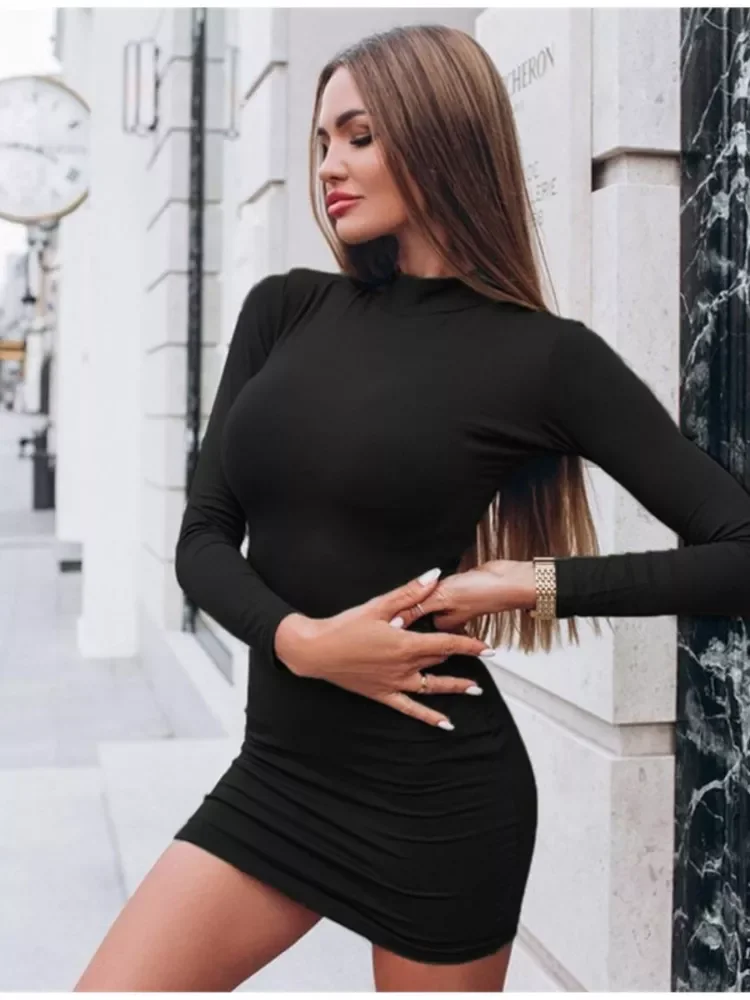 

Sexy Solid Color Turtleneck Skinny Mini Dress Women Fall Keep Warm Long Sleeve Slim Dress