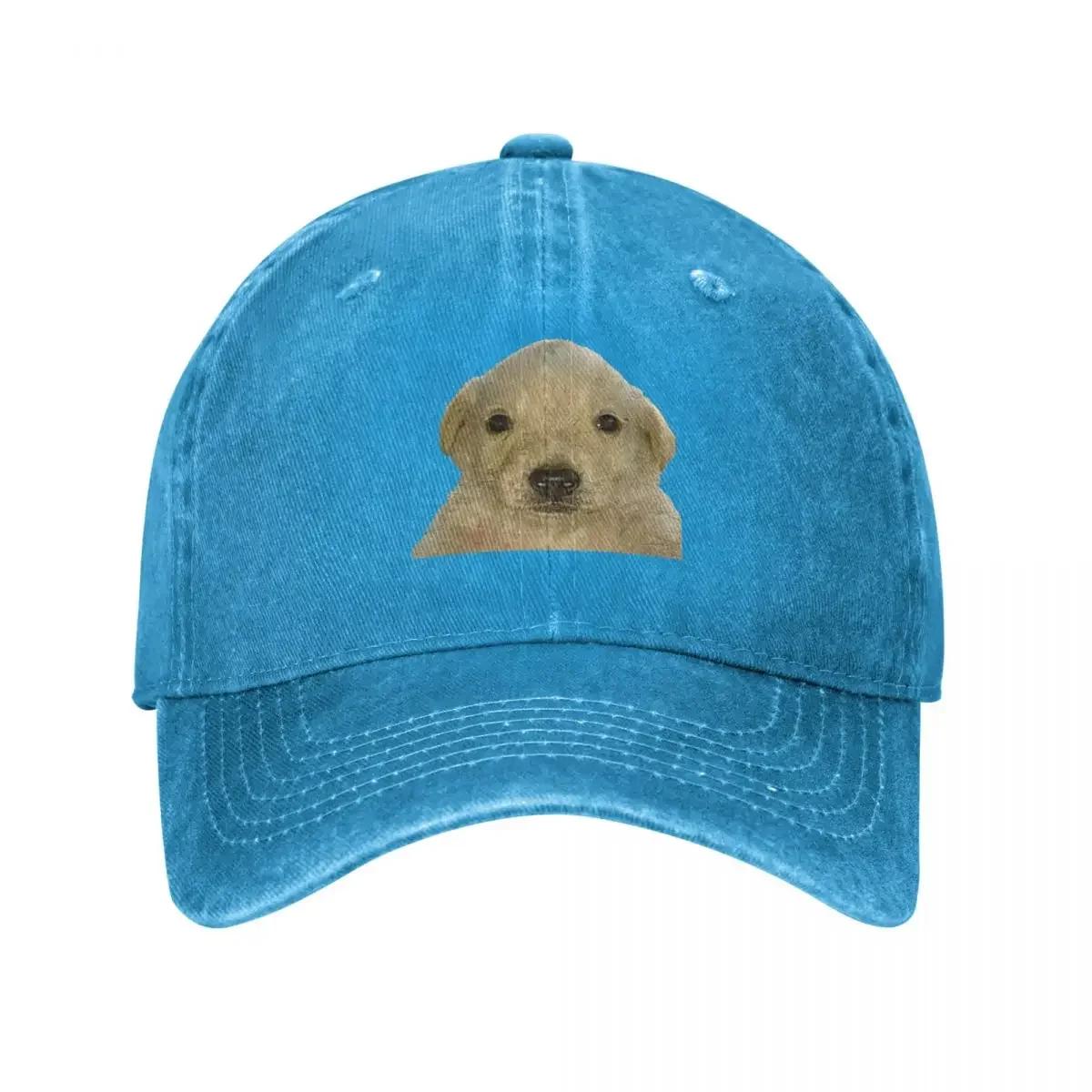 Бейсбольная кепка Jotchua meme jotchua Dog шляпа бейсболка дропшиппинг Snapback для альпинизма
