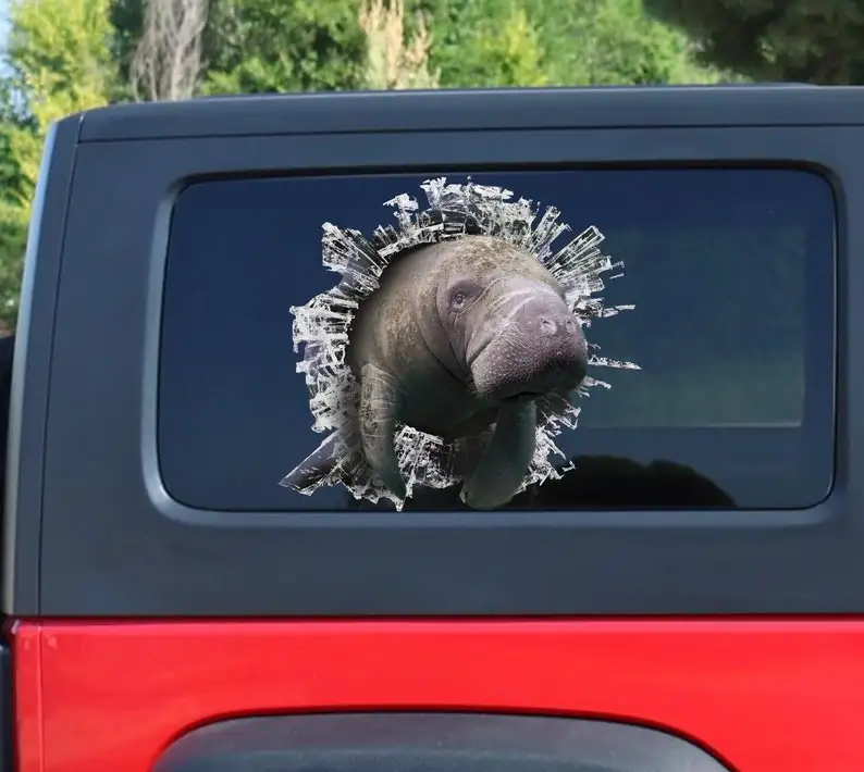 

Manatee window decal crack vinyl car stickers car decals decorative goods window pvc car sticker brand motorcycle accessories