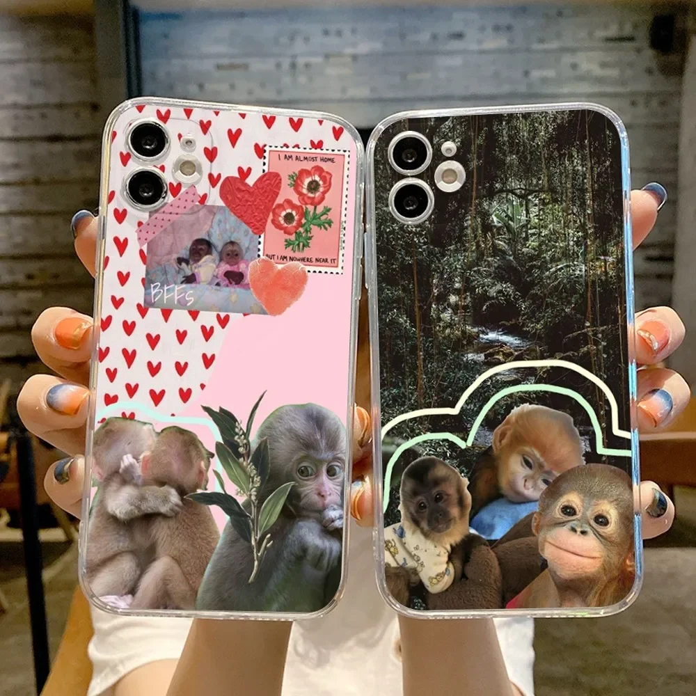 Обложка в виде обезьяны новинка 2024 искусственная кожа для IPhone15 14 13 12 11 Pro 15 Plus MAX XR XS