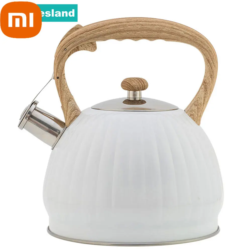 

Чайник Xiaomi Schnesland со свистком, л, чайник из нержавеющей стали, чайник в форме тыквы