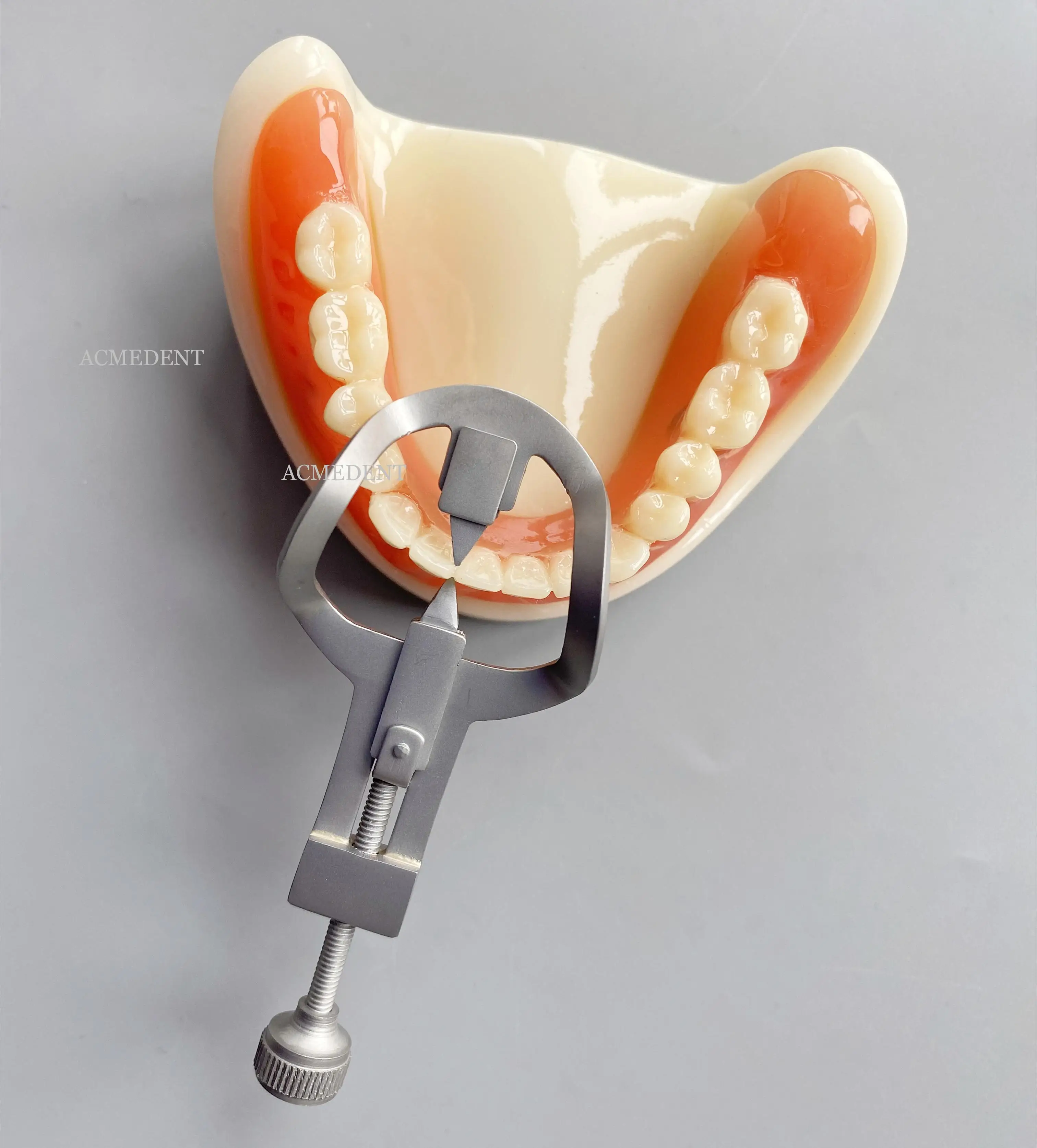 2 шт. перегородка для зубов
