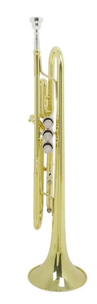 Латунная пенопластовая труба трехцветная плоская для обучения игре Западный