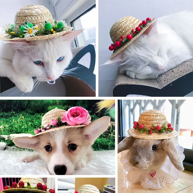 Pet Dog Straw Hat Puppy Cat Hawaii 