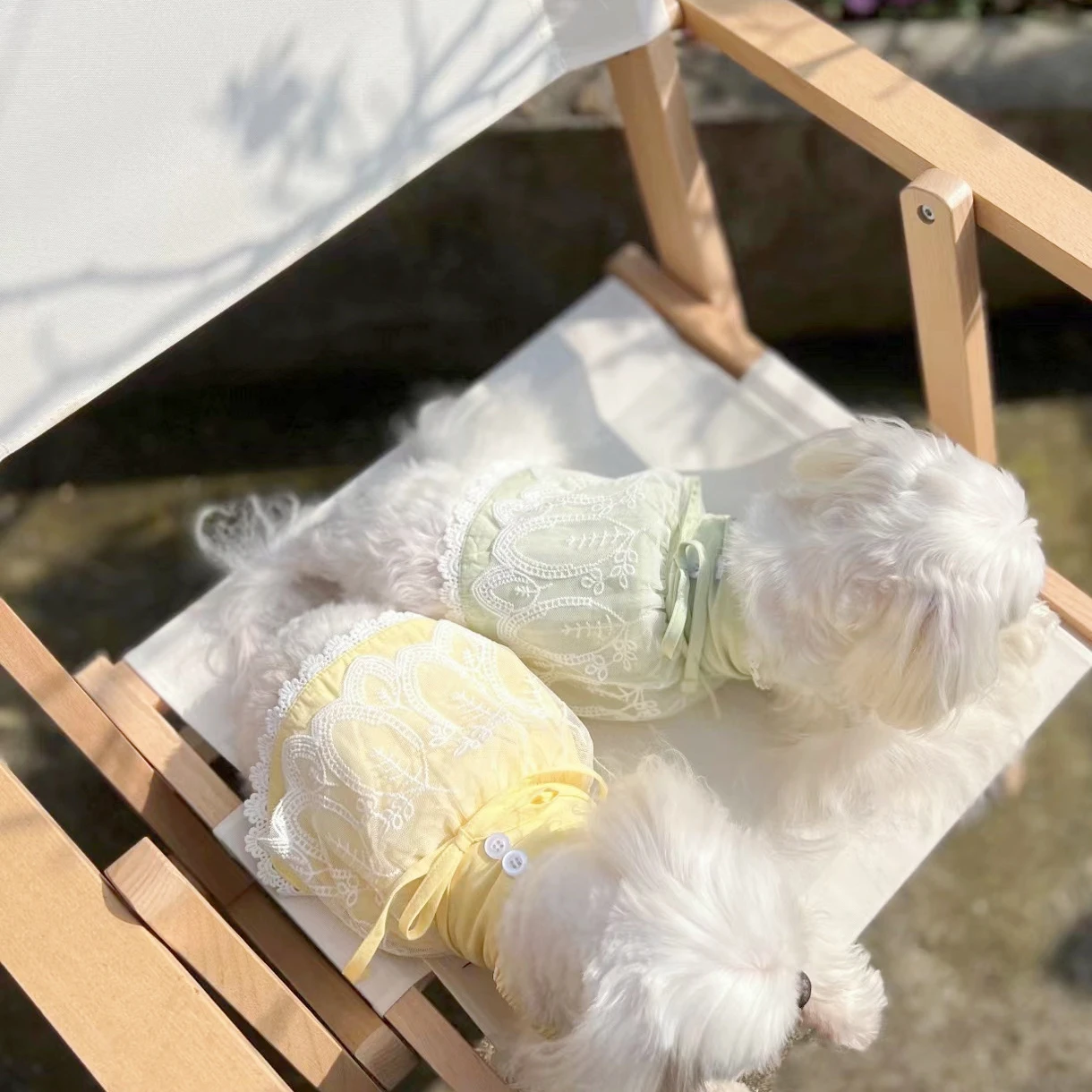 Весенне-летние хлопковые кружевные подтяжки маленькая собака Мальта Бишон