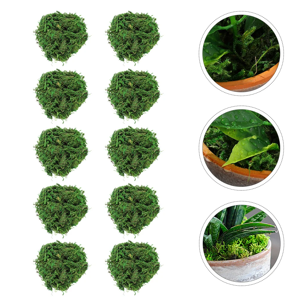 

3 Bags Bonsai Decorative Moss Plants Landscaping Dried Lichen for Landscaping Flowerpot Bonsai